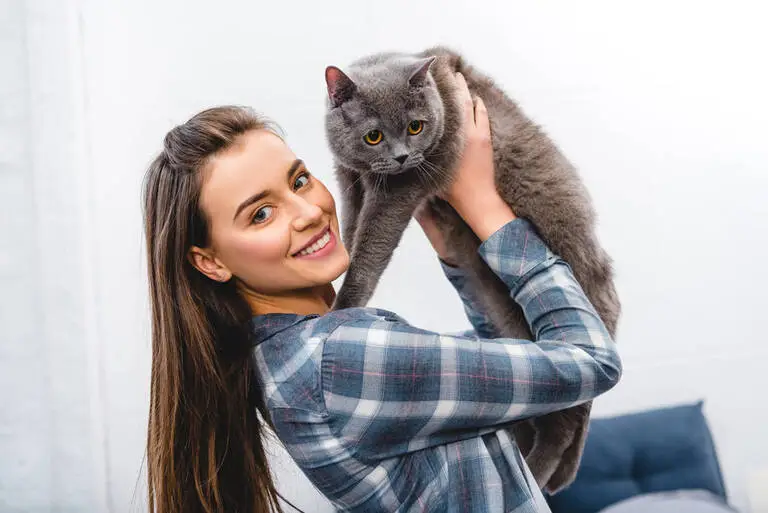 photo of a happy young woman playing british shorthair cat